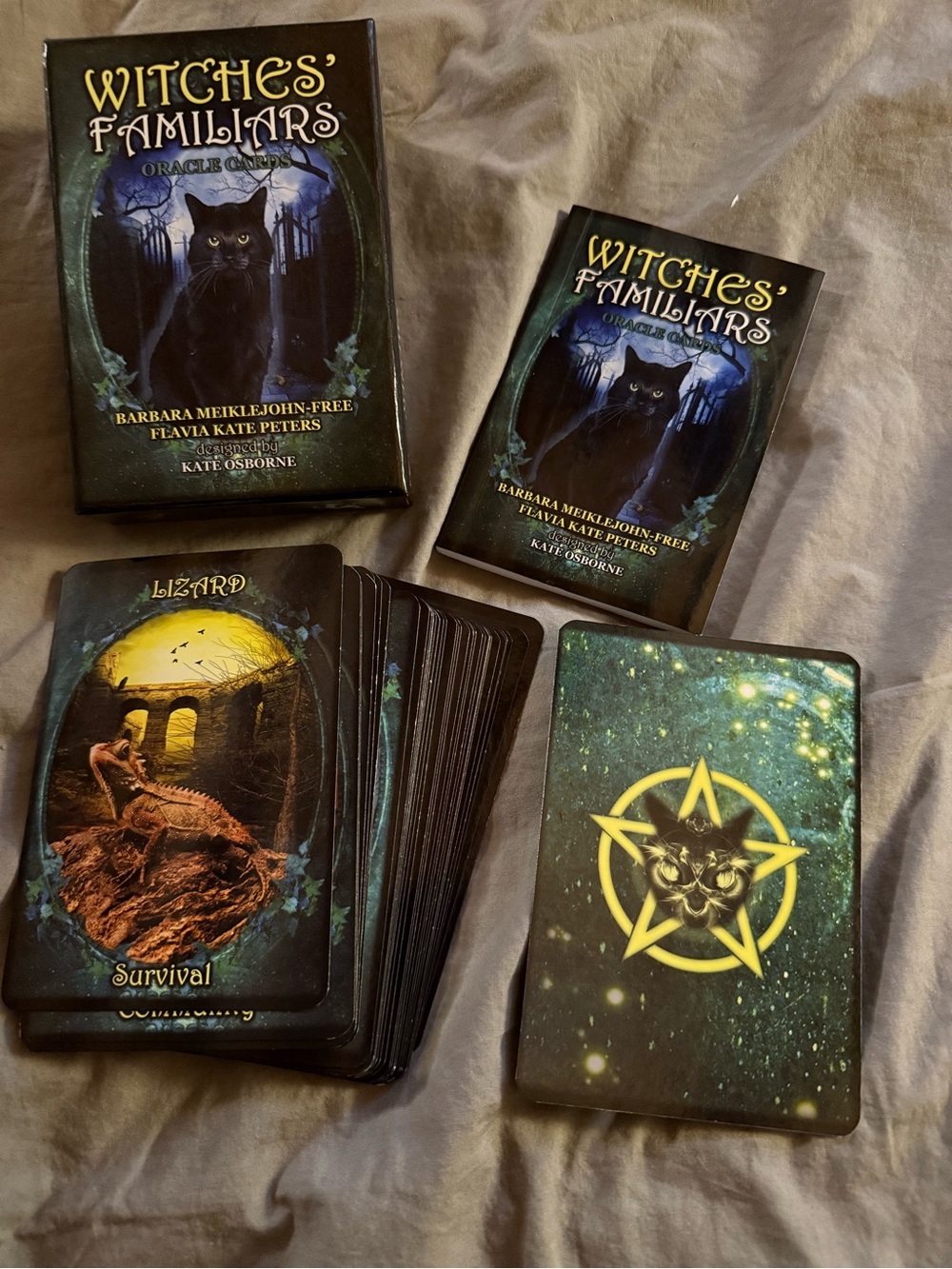Oracle Cards - Black Box Edition